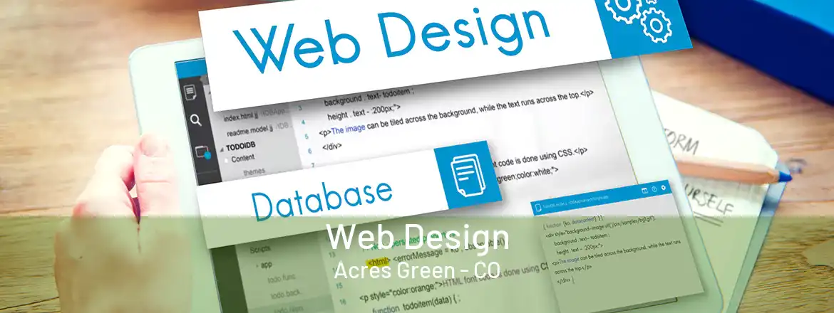 Web Design Acres Green - CO