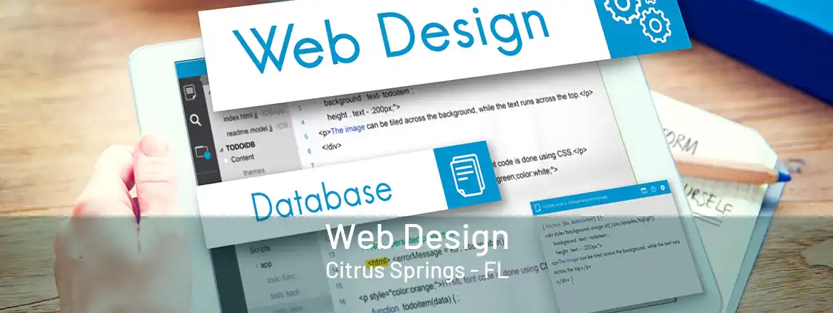 Web Design Citrus Springs - FL